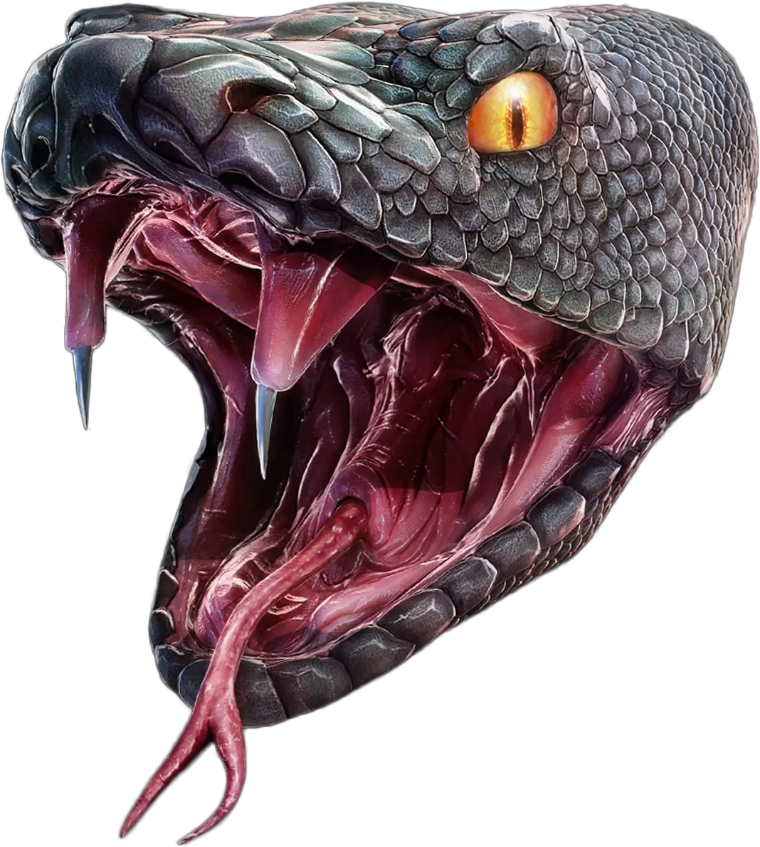 Snake Head Png Anaconda Png