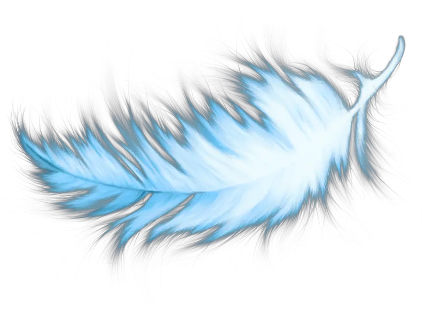 Transparent Blue Feather Png Transparent Teal Blue Feathers