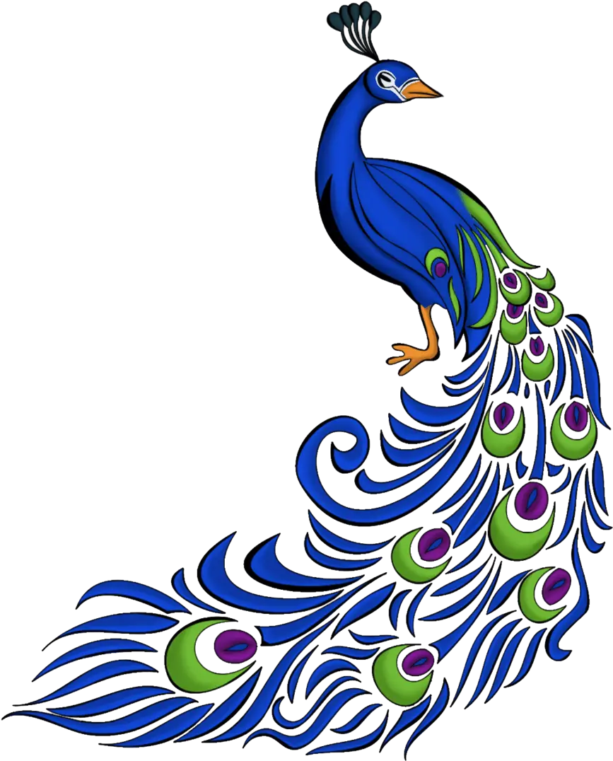 Transparent Peacock Feather Clip Art Border Design For Assignment