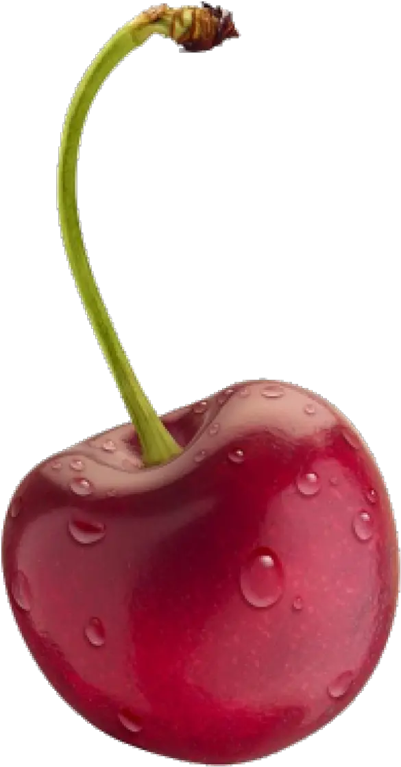 Cherry Png Transparent Transparent Background Cherry Png