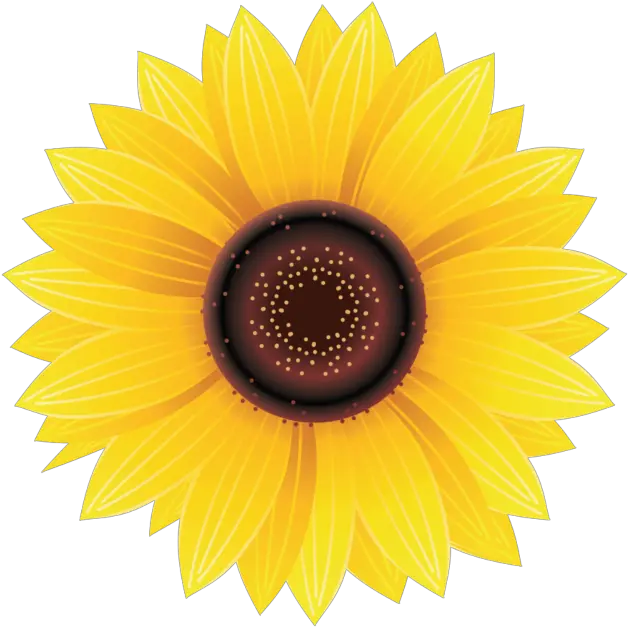 Sunflower Png Image Free Download Searchpng Sunflower Hydro Flask Sticker