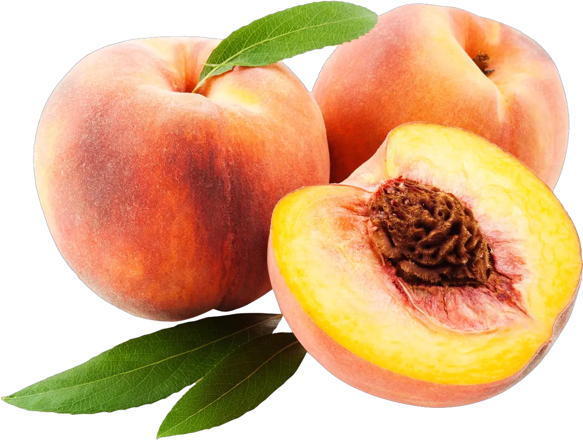 Peach Transparent Background