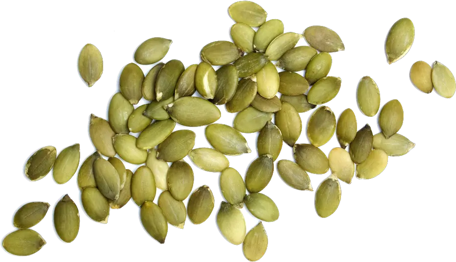 Pumpkin Seeds Png Transparent Background Pumpkin Seeds Png