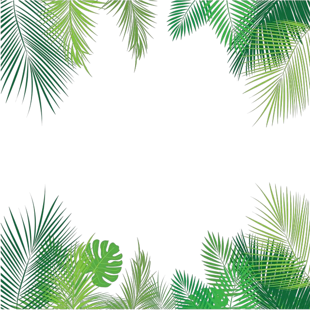 Palm Hojas Tropicales Verde Overlay Tropical Png