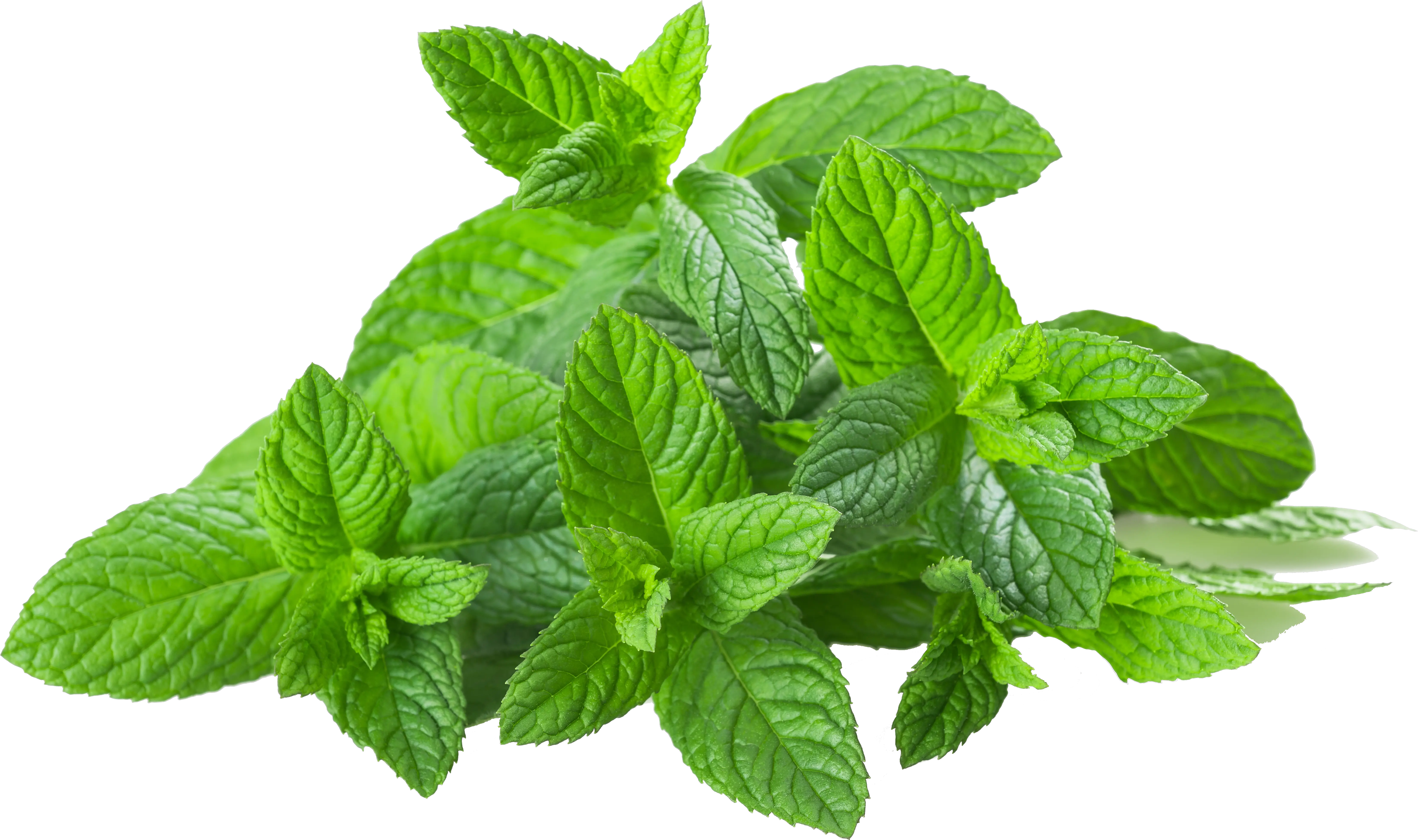 Mint Png Transparent Mint Images