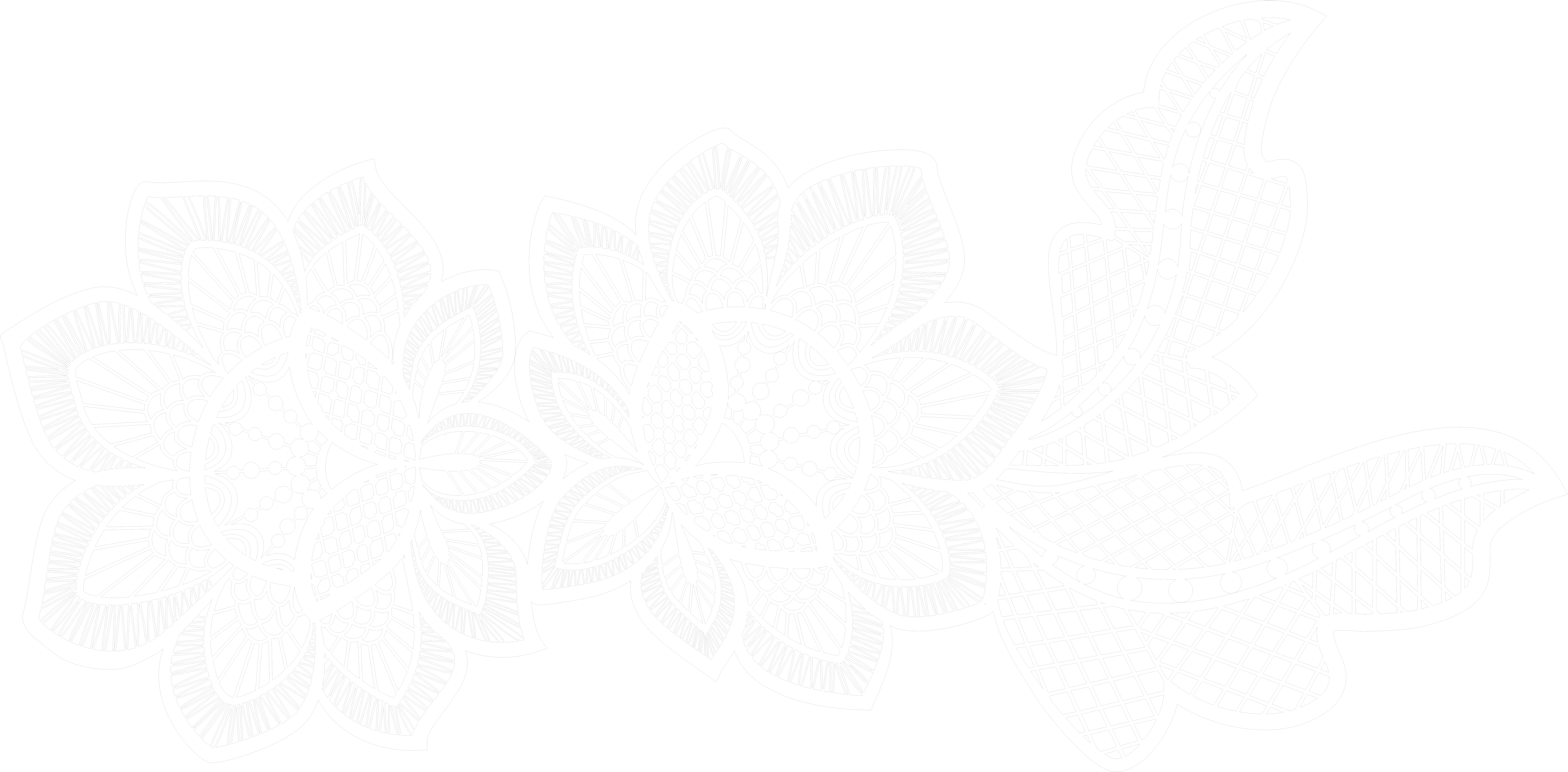 Lace Png Floral White Flower Lace Png