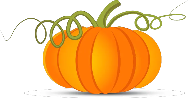 Pumpkin Vector Png Pumpkin Vector Transparent Background