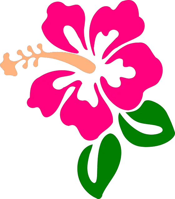 Hibiscus Flower Clipart Hibiscus Clip Art