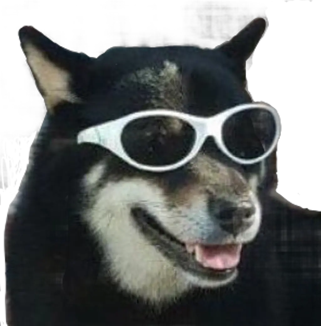 dog meme funny puppy sunglasses freetoedit Dog Meme Png