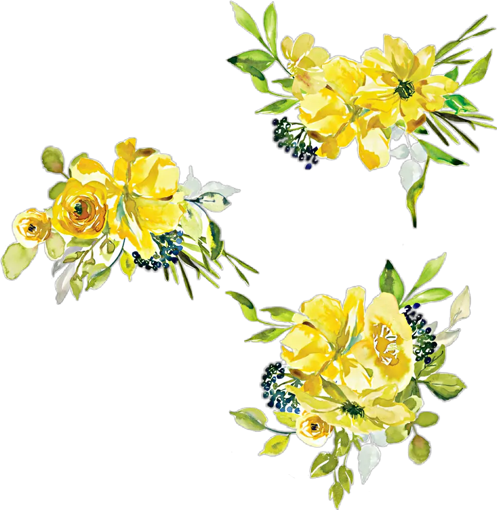 watercolor flowers floral bouquet yellow white