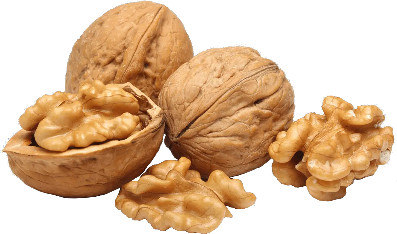 Walnut Group Walnuts Png