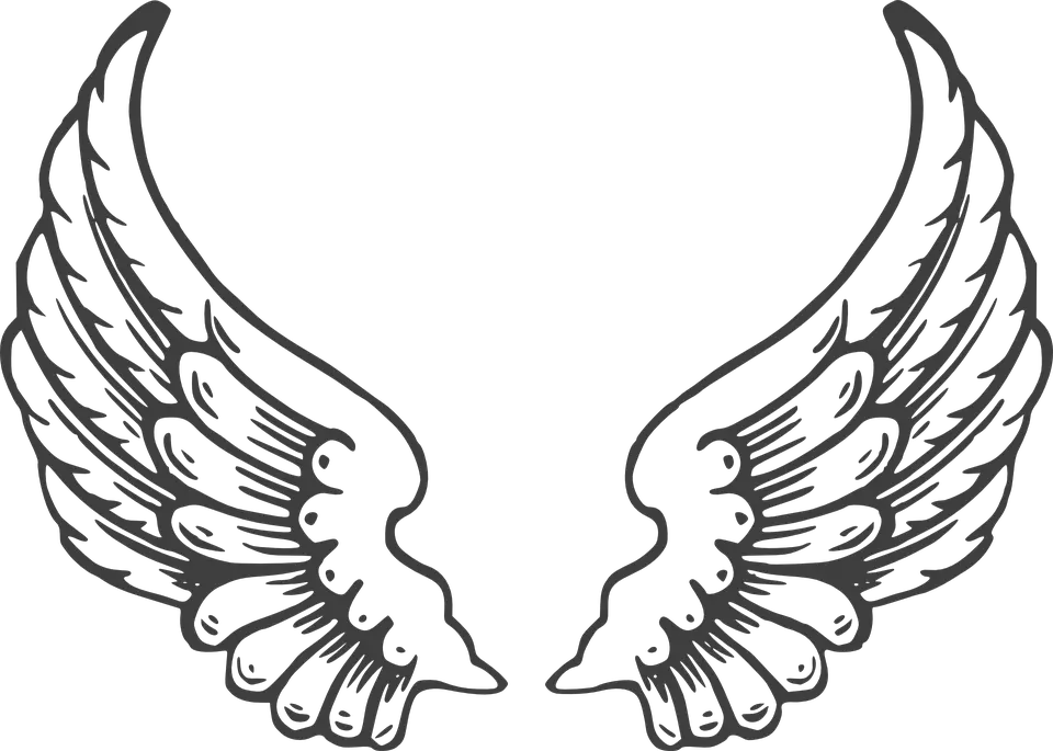 Wing Clipart Black And White
