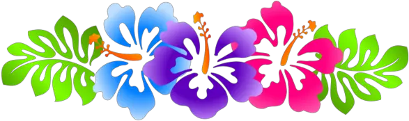 File Clip Art Borders Hawaiian Flower Border Transparent