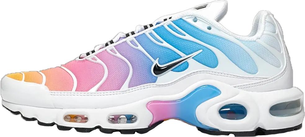 Nike Air Max Plus Blue Pink Nike Air Max Plus Shoe