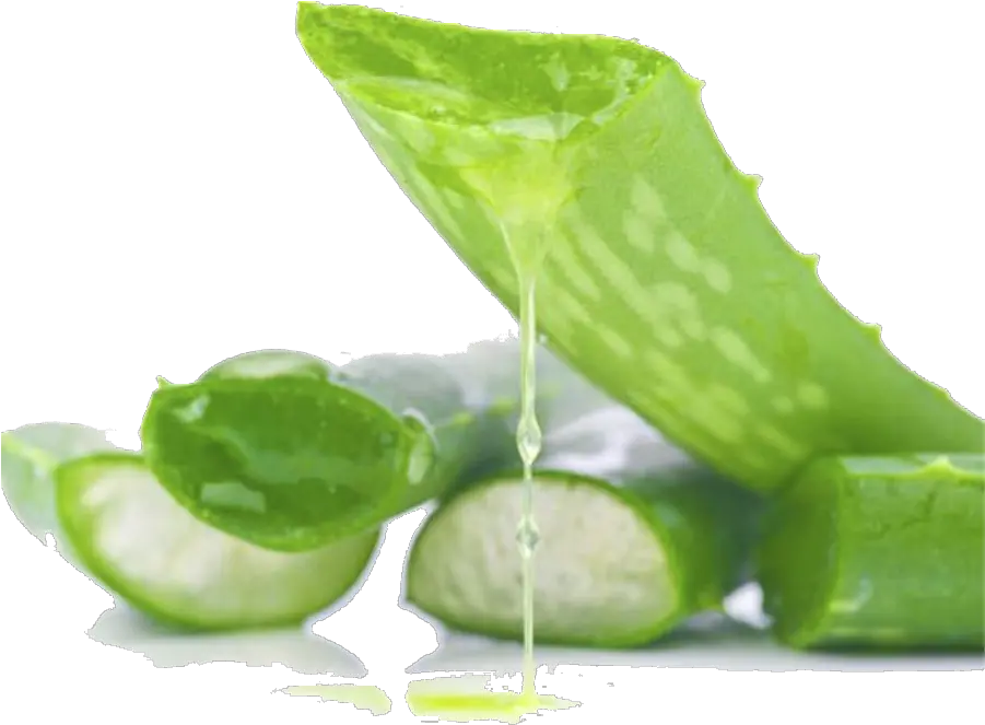 Aloe Vera Gel Png Picture Aloe Vera Images Png