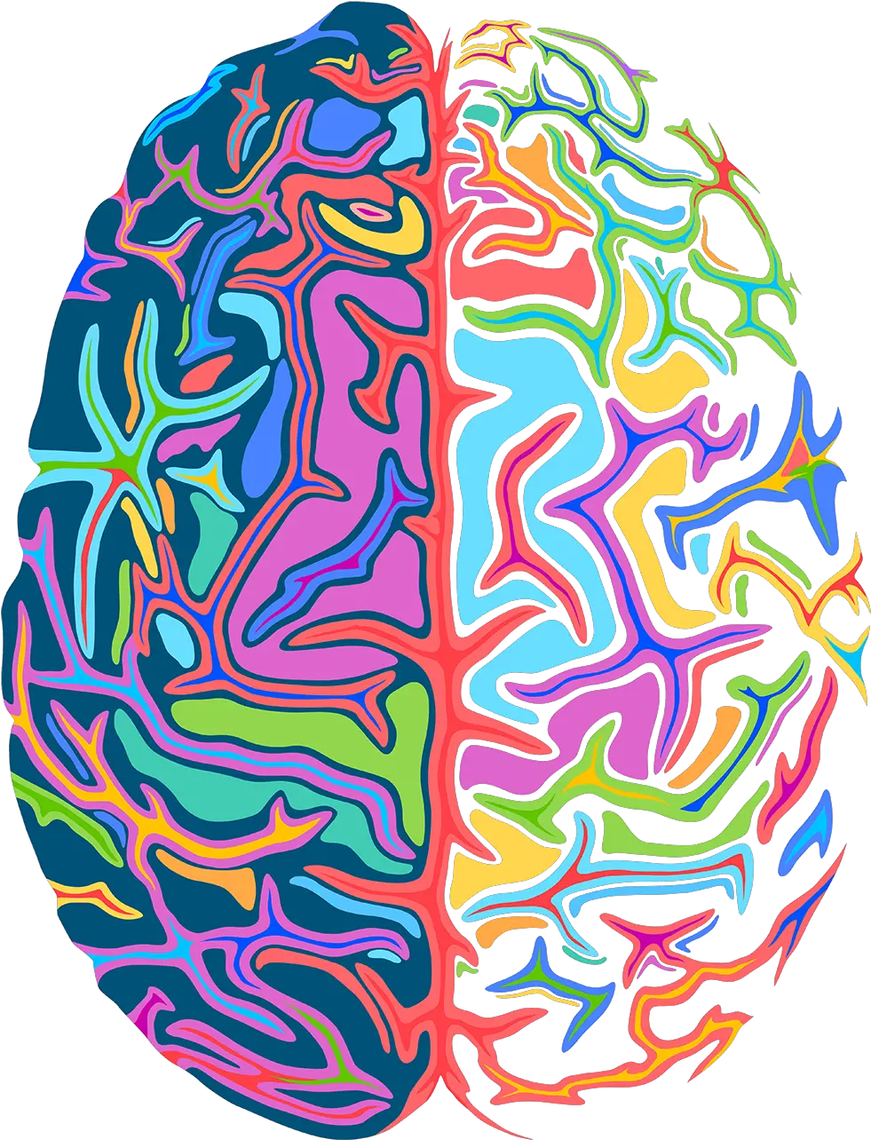 Transparent Brain Png Psychedelic Brain Png