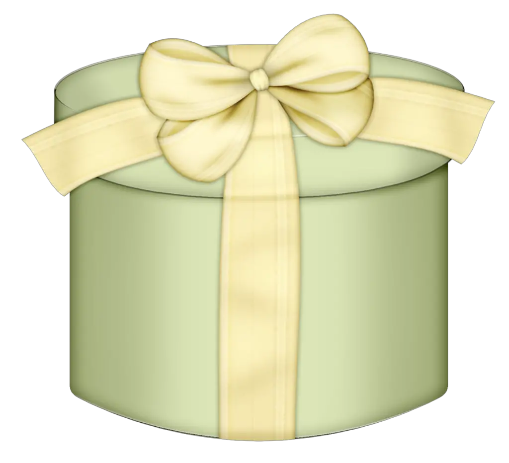 Gift box PNG image