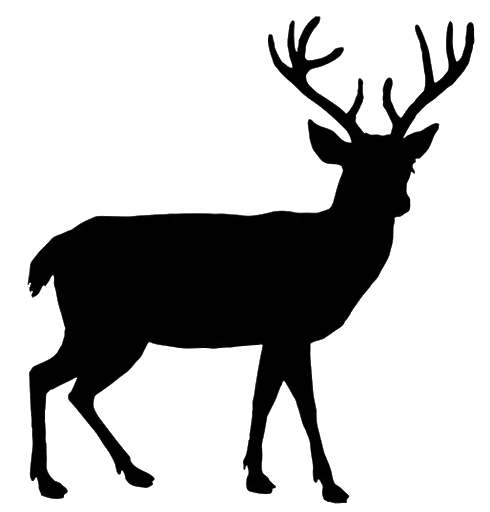 Santa Clauss reindeer PNG