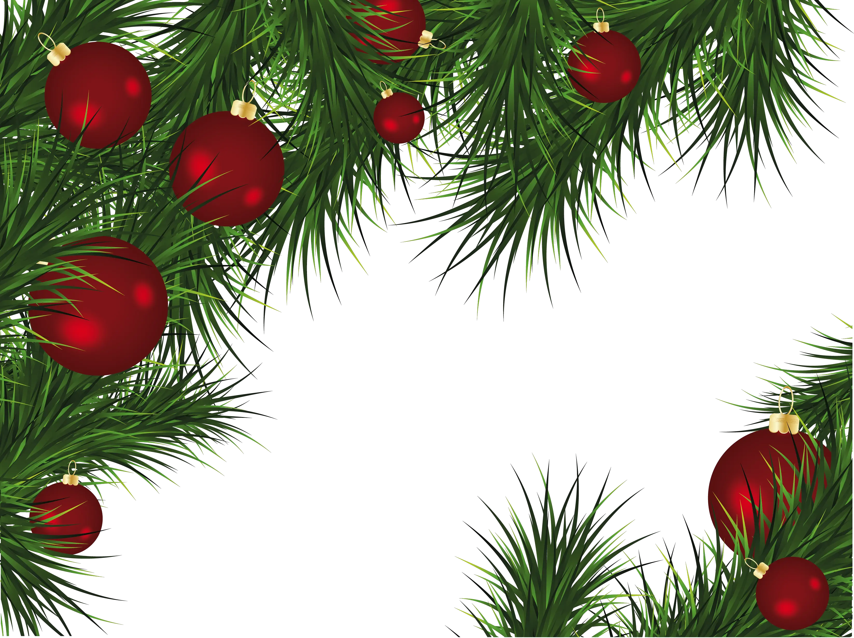 Christmas fir-tree PNG image