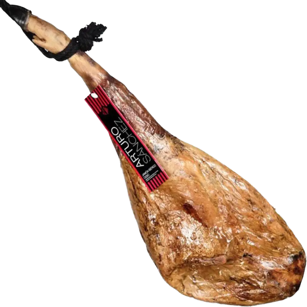 Spain jamon PNG