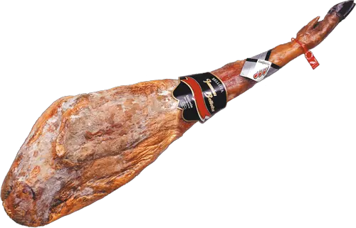 Spain jamon PNG