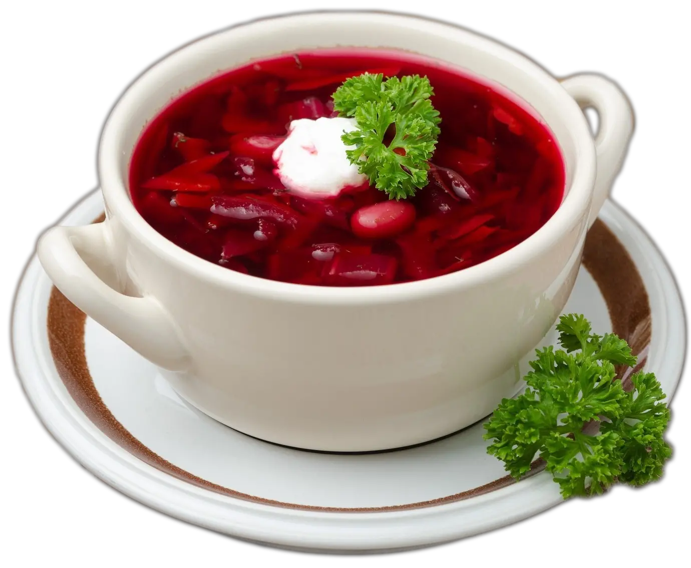 Ukraine food borscht PNG