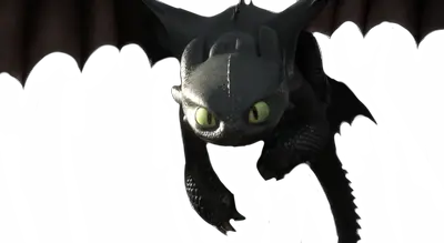 Night Fury PNG