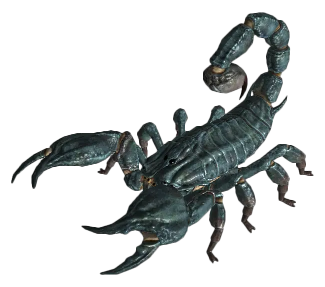 Scorpion PNG