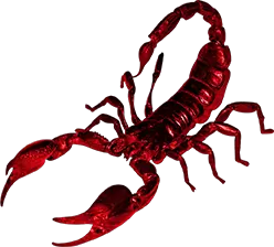 Scorpion PNG