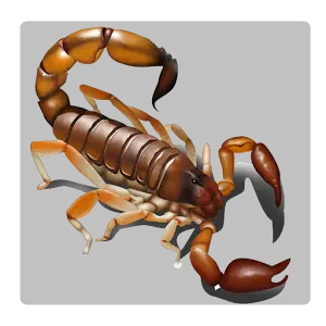 Scorpion PNG