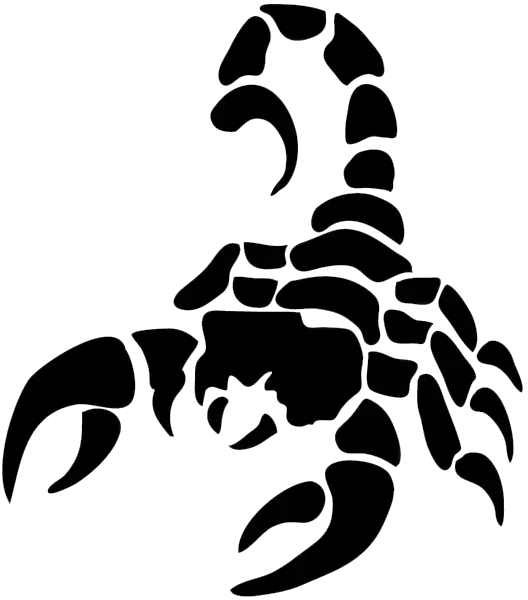 Scorpion tattoo silhouette PNG