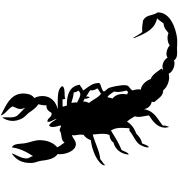Scorpion tattoo PNG