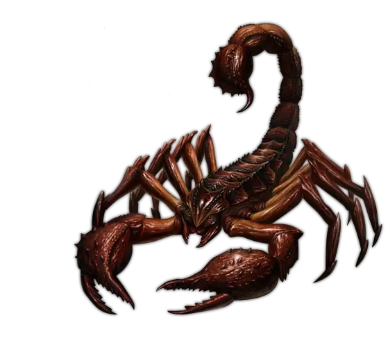 Scorpion PNG