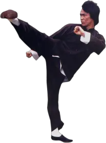 Bruce Lee PNG
