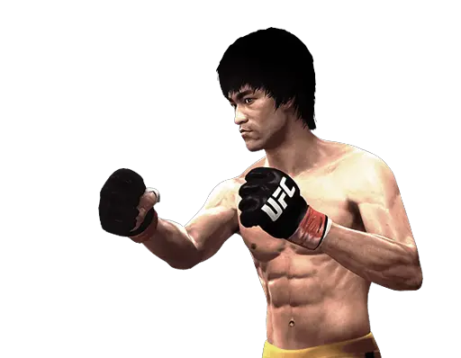 Bruce Lee PNG