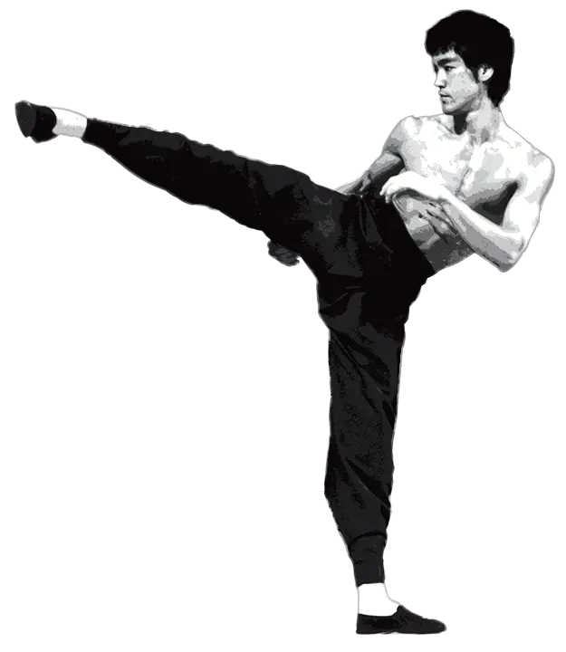 Bruce Lee PNG