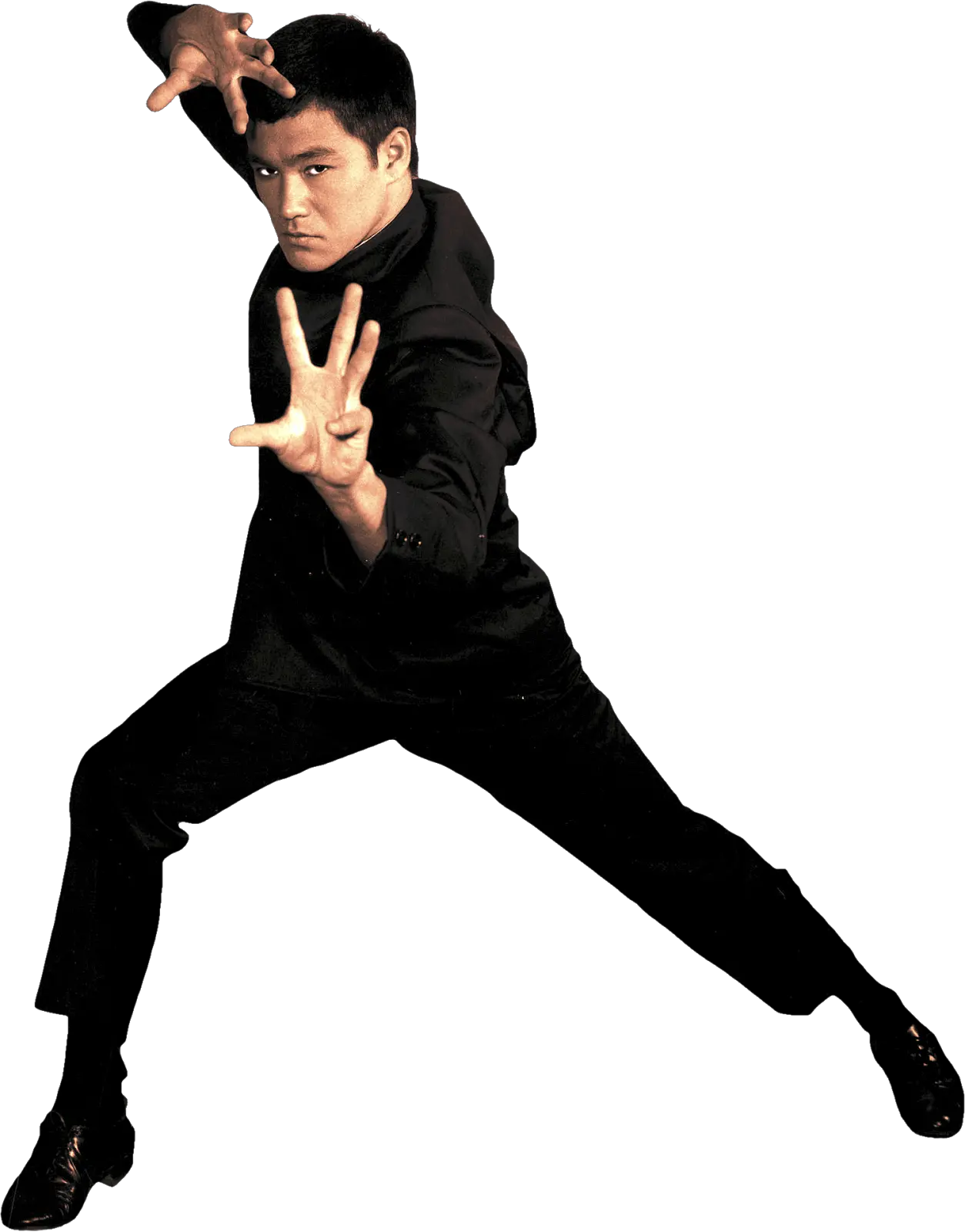 Bruce Lee PNG