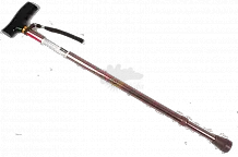 Walking stick PNG