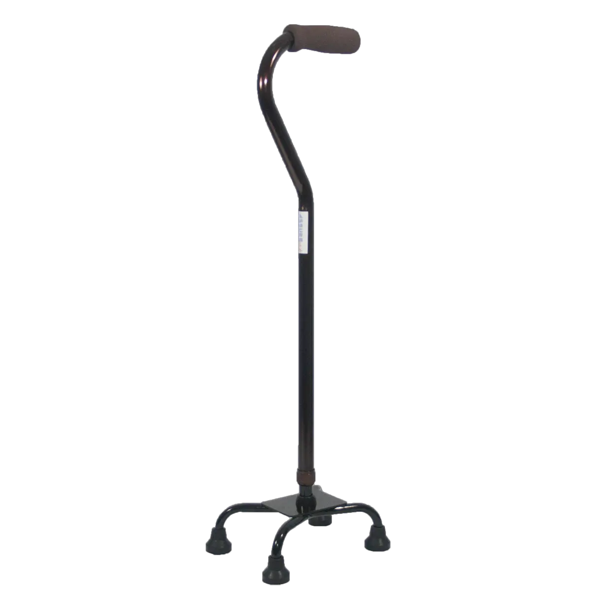 Walking stick PNG