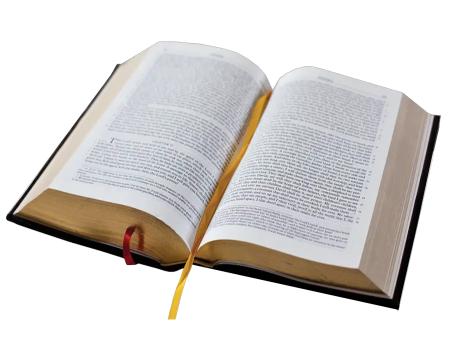 open bible PNG
