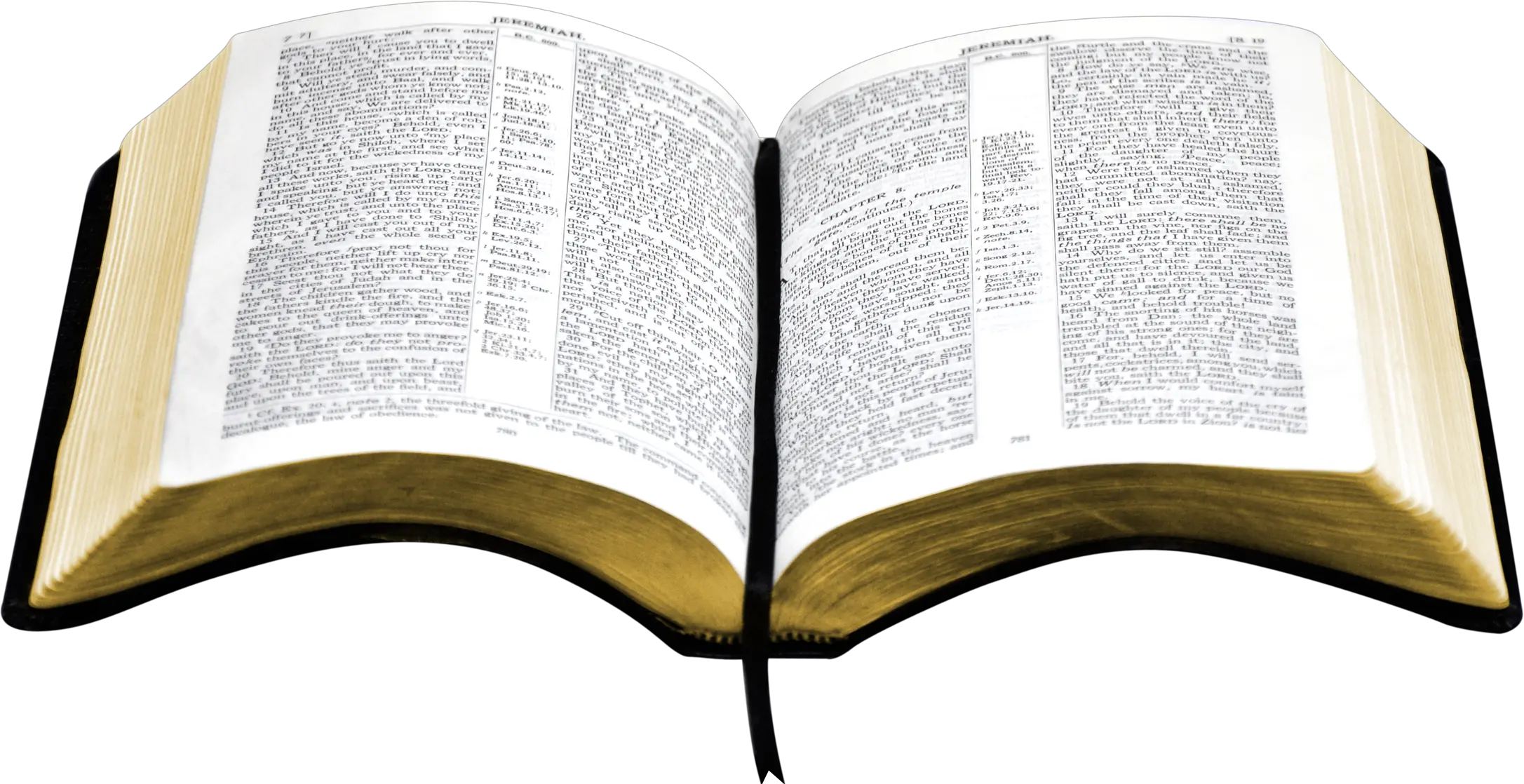 open bible PNG