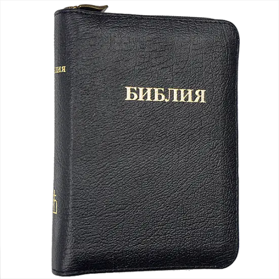 Holy Bible PNG