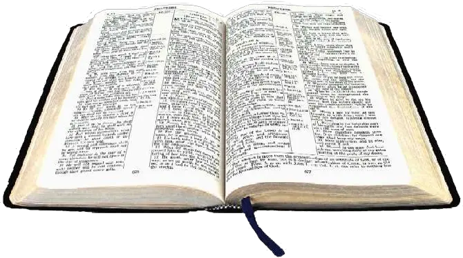open bible PNG
