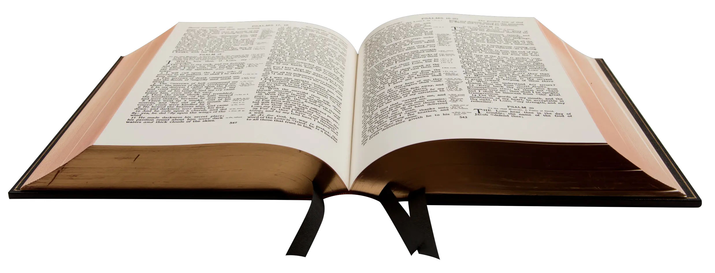 open bible PNG