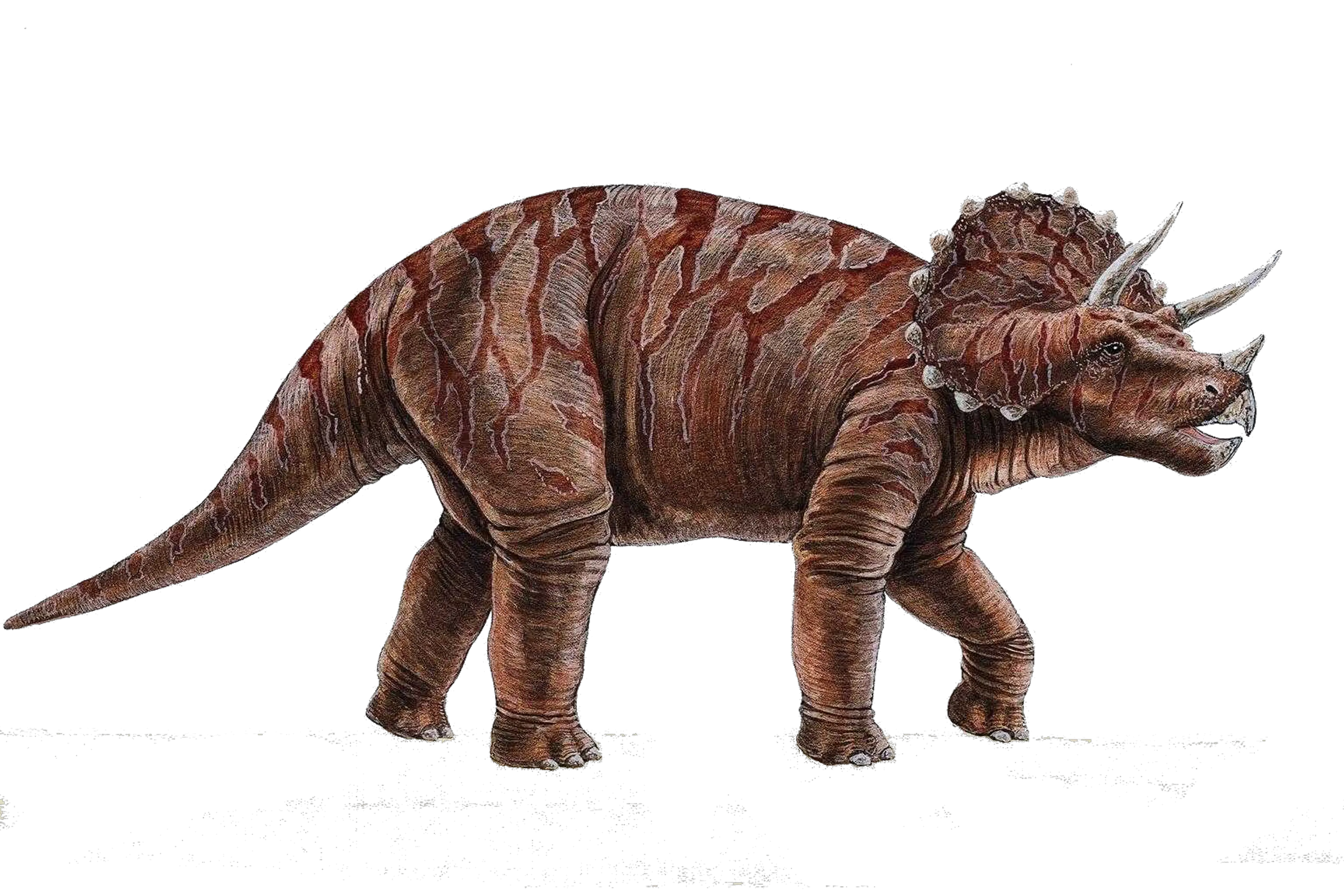 Dinosaur PNG