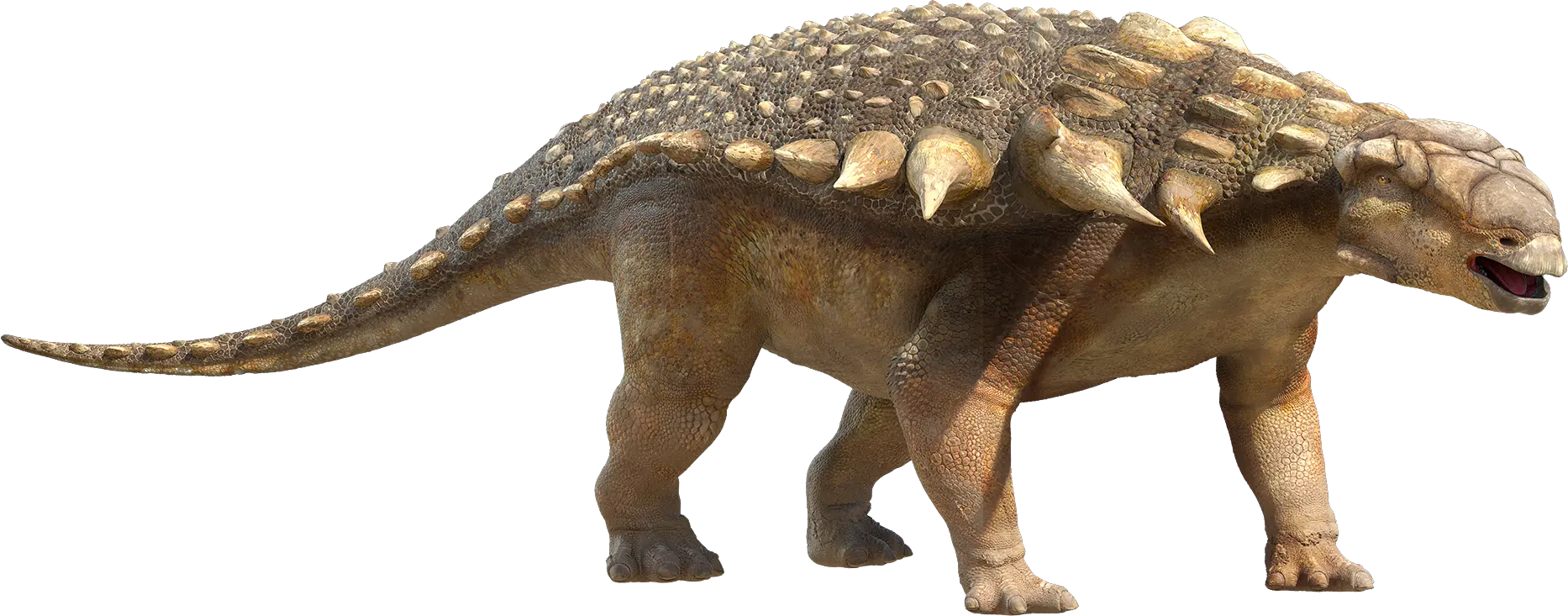 Dinosaur PNG