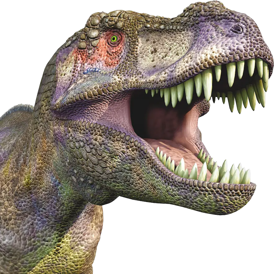 Dinosaur PNG