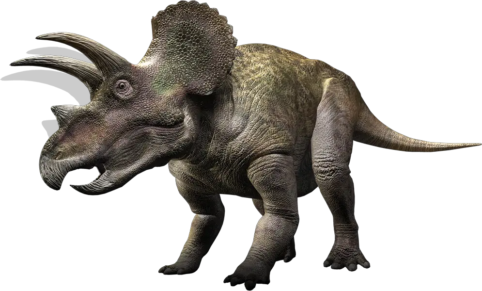 Dino PNG