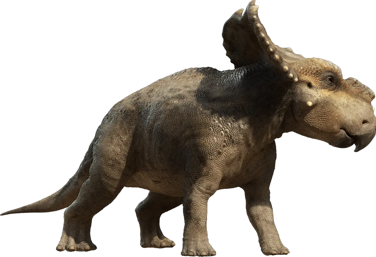 Dino PNG