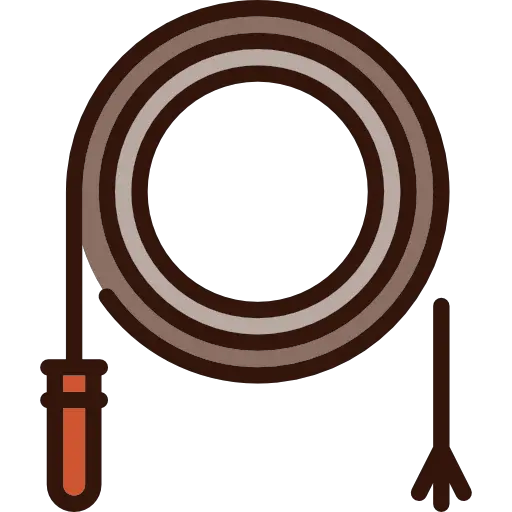 Whip PNG